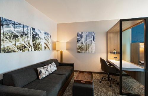 Far North Dallas Hotel | SpringHill Suites by Marriott Dallas Richardson/University Area