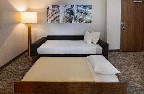 Far North Dallas Hotel | SpringHill Suites by Marriott Dallas Richardson/University Area