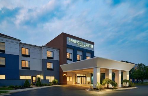 Lansing Hotel | SpringHill Suites by Marriott Lansing West