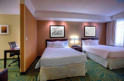 Tampa Hotel | Springhill Suites by Marriott Tampa Brandon