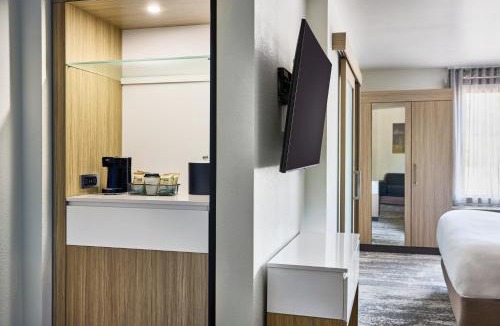 Chesterfield Hotel | SpringHill Suites by Marriott Chesterfield