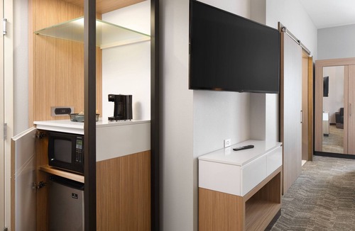 Southside Hotel | SpringHill Suites by Marriott Jacksonville Baymeadows