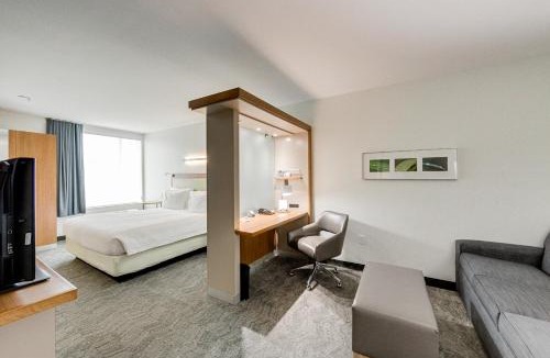 College Park Hotel | SpringHill Suites by Marriott Houston The Woodlands