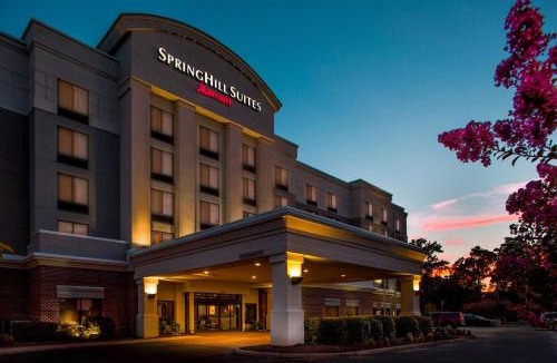 Hampton Hotel | SpringHill Suites Hampton