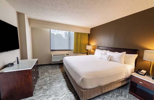 Astrodome Hotel | SpringHill Suites Houston Medical Center/NRG Park