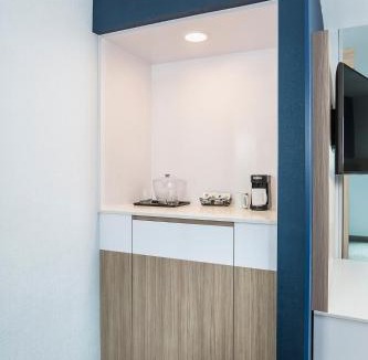 Madison Hotel | SpringHill Suites Madison