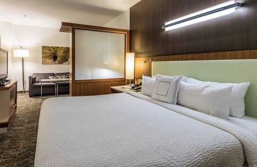 Statesboro Hotel | Springhill Suites Statesboro University Area