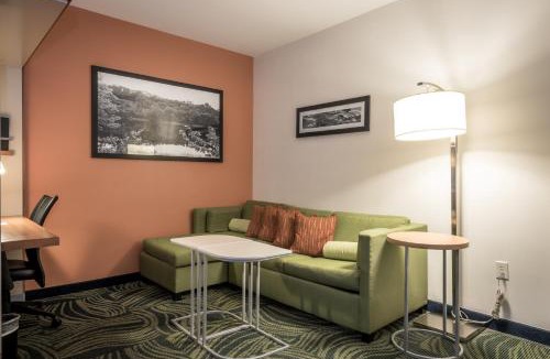 Statesboro Hotel | SpringHill Suites Statesboro University Area