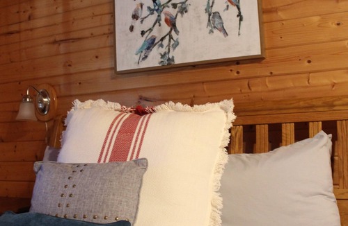 Leakey Cabin | Springs Cabin located near the pool area.