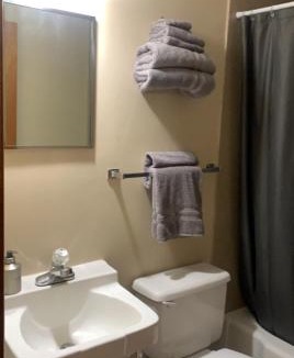 Bloomfield Hotel | Springs Motel