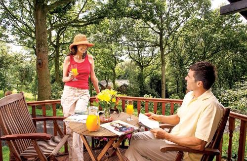 Summerbridge Resort | Springwood Lodges