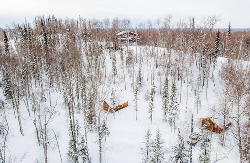 Talkeetna Cabin | Spruce Cabin