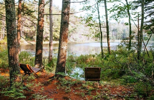 Georgetown House | Spruce Studio: Near Beach+Private Sauna+FirePit+Pond+Heat/AC