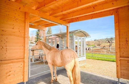Lutzelfluh House | Spycher im Emmental by Interhome