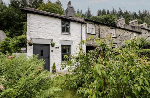 Gwynedd- Snowdonia House | Squirrel Cottage