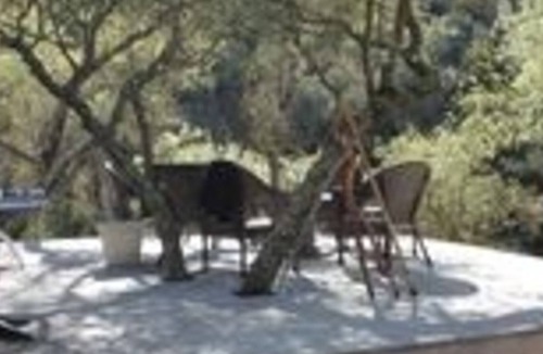 Penn Valley House | Squirrel Creek Site!