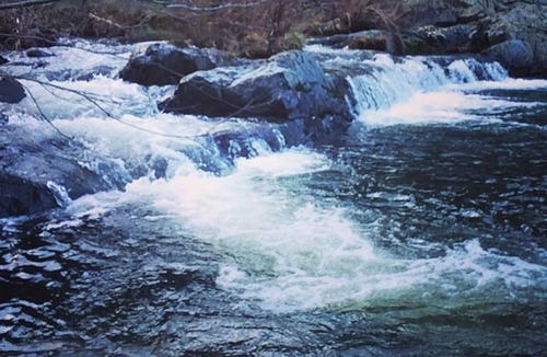 Penn Valley House | Squirrel Creek Site!