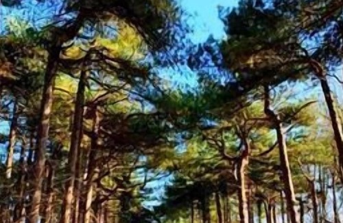 Formby Apartment | Squirrel Hideaway in Formby, Liverpool