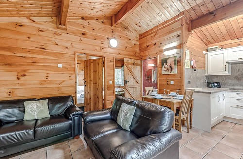 Freehay Ski Chalet | Squirrel Log Cabin 4