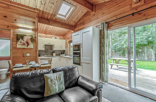 Freehay Ski Chalet | Squirrel Log Cabin 4