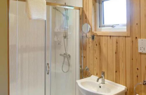 Five Oak Green Other | Squirrels-oaks