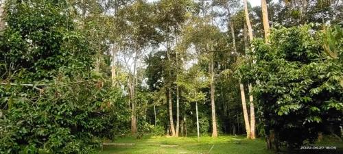 Baling District House | SRI MALAU