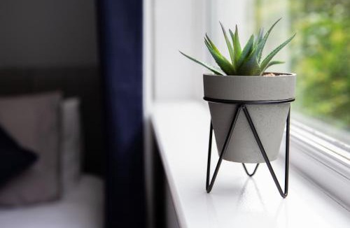 Irvine House | St Andrews Guest House