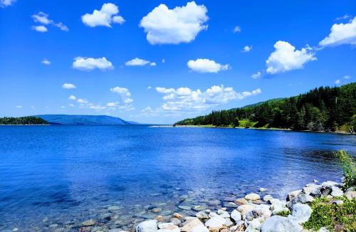 Saint Anns Hotel | St Ann's Motel & Cottage