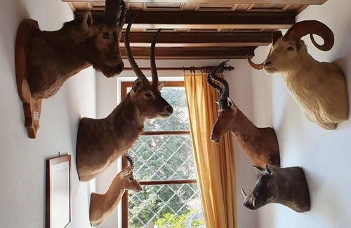 Orselina House | "St. Bernard House