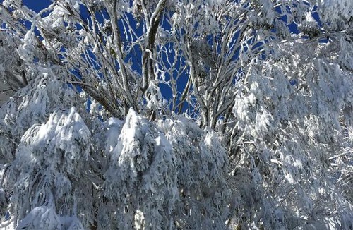 Falls Creek Apartment | St Falls East 204