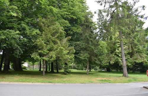 Bagnoles-de-l'Orne Apartment | Studio du parc