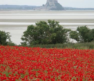 Vains House | St Michel