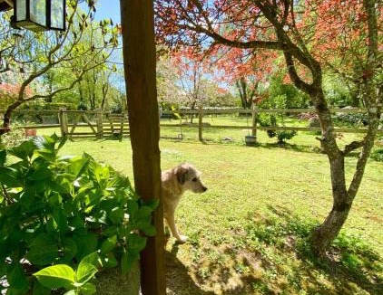 Paille House | St Pasha