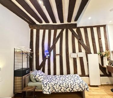 Arsenal Apartment | St Paul Marais Flat Ground Floor