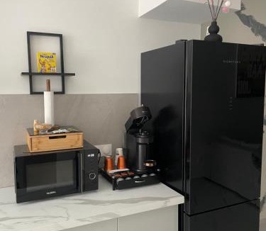 Saint-Etienne-de-Saint-Geoirs Apartment | Station