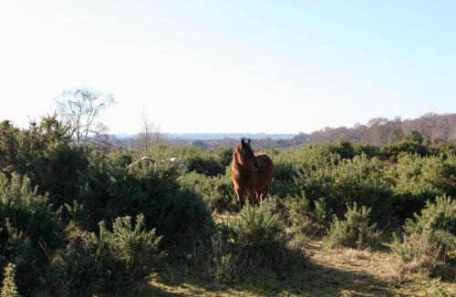 Burley House | Stable Cottage