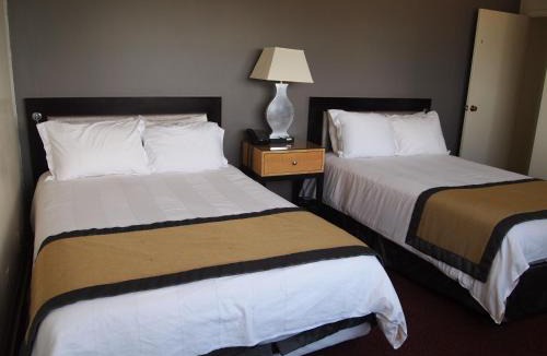 Downtown Hotel | Stamford Suites