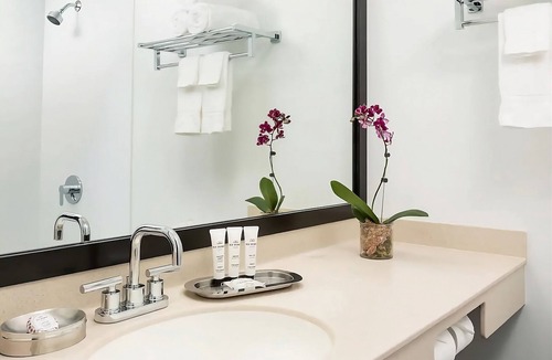 Lower Allston Hotel | Standard King Room at Studio Allston Hotel