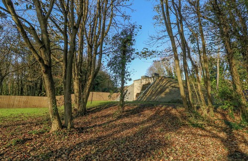 Dorchester Cottage | Standby Generator Bunker