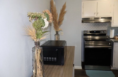 Ackerman House | Star Meadows - 3 Bedroom Beautiful Home near Starkville, MS