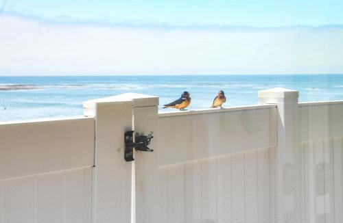 San Simeon Apartment | Star of the Sea Oceanfront Escape w Views