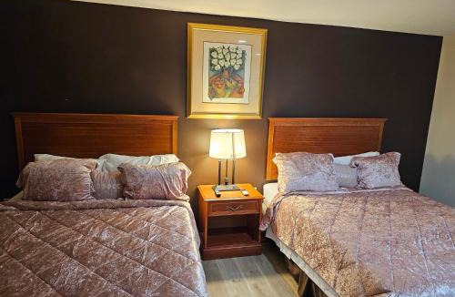 Duncannon Hotel | Stardust Motel