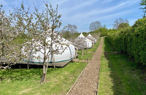 Longdon Other | Stargazer Tent 2