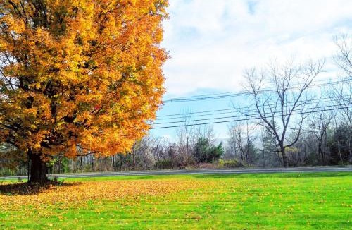 Bennington Hotel | Starlight Inn