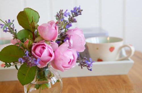 Faringdon House | Starlight Shepherd Hut