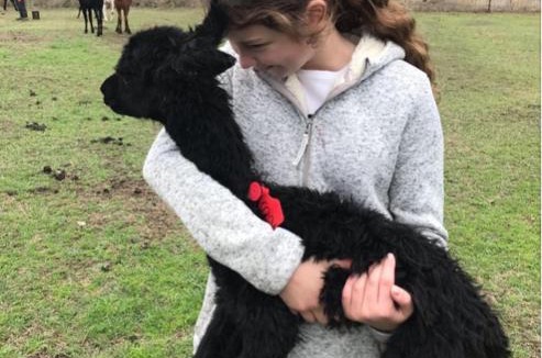 Broke Resort | Starline Alpacas Farmstay Resort