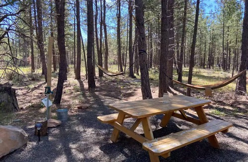 Goldendale House | “Starlit Cottage” Off Grid Beautiful setting!