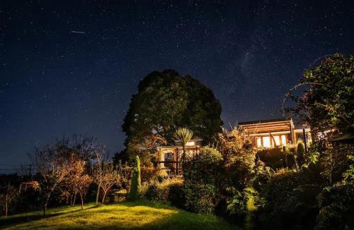 Waikino House | Starry Nights cabin fever