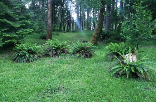 Sunny Valley RV Rental | Starry Skies Campout