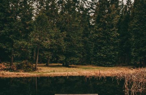 Sunny Valley Other | Starry Skies Campout